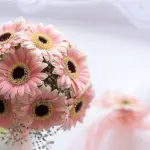 Scopriamo quali sono i fiori da regalare per una nascita di un bambino